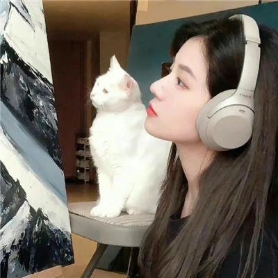 檀岛玉女